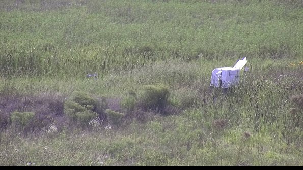 capture-5-23-08-11_17-02-42-30