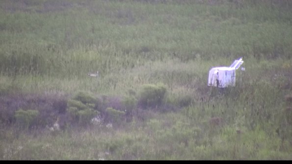 capture-5-23-08-11_20-40-41-97