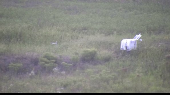 capture-5-23-08-11_20-50-41-64