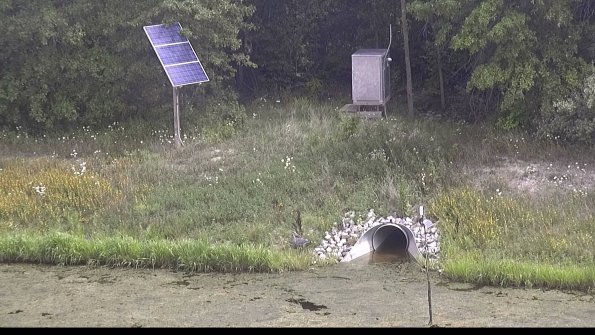 capture-3-23-08-14_13-32-15-95