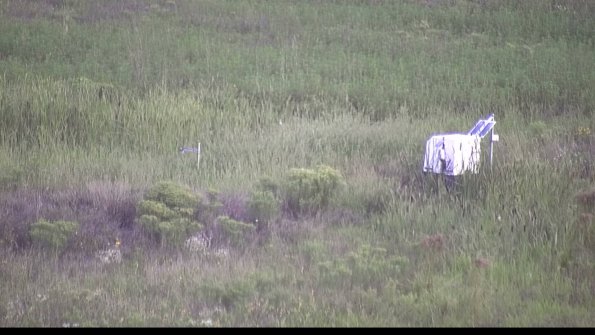 capture-5-23-08-14_07-10-47-14