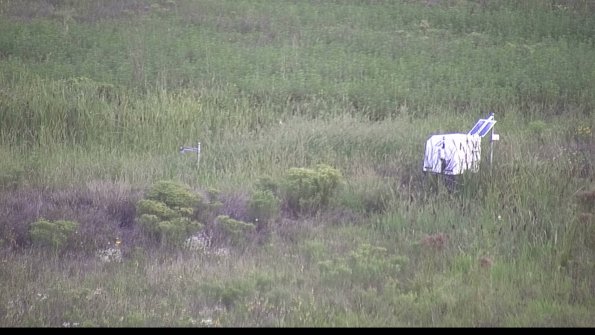 capture-5-23-08-14_07-20-46-27