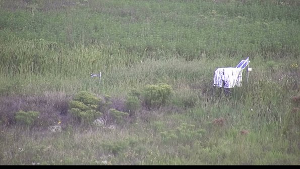 capture-5-23-08-14_07-32-47-19