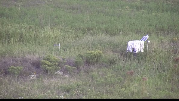 capture-5-23-08-14_07-56-46-49