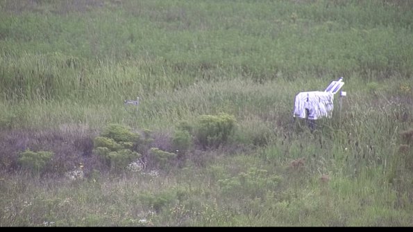 capture-5-23-08-14_08-26-46-42