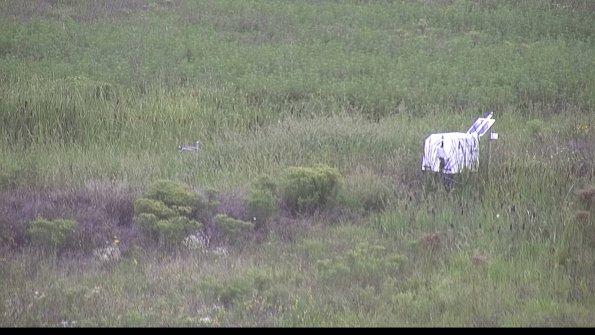 capture-5-23-08-14_08-46-46-16