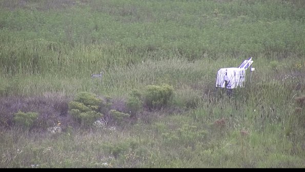 capture-5-23-08-14_08-54-47-11