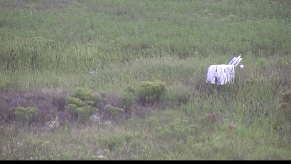 capture-5-23-08-14_08-58-46-52