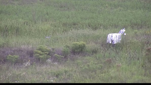 capture-5-23-08-14_09-38-46-42