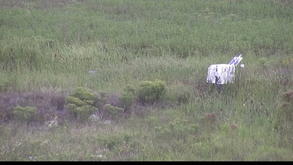 capture-5-23-08-14_09-54-46-83