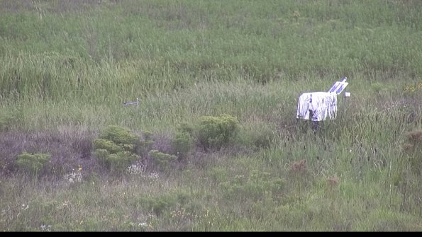 capture-5-23-08-14_10-14-46-47