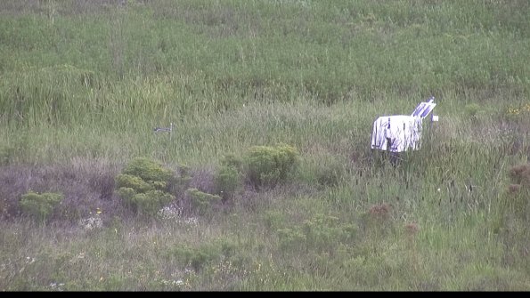 capture-5-23-08-14_10-16-46-69