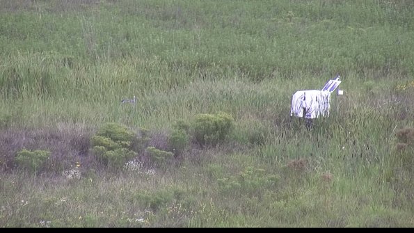 capture-5-23-08-14_10-18-45-88