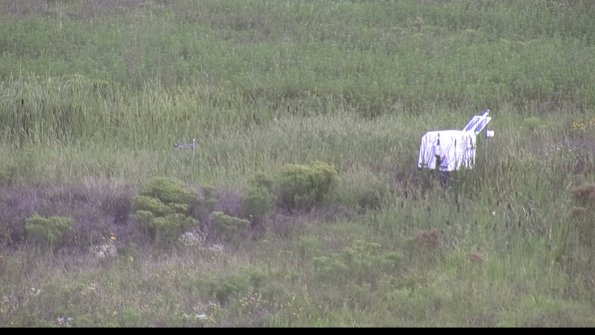 capture-5-23-08-14_10-20-46-90