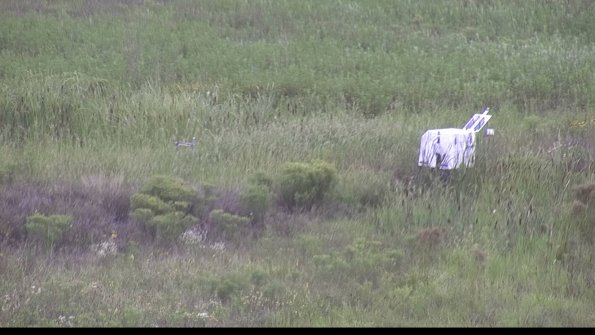 capture-5-23-08-14_10-48-46-46