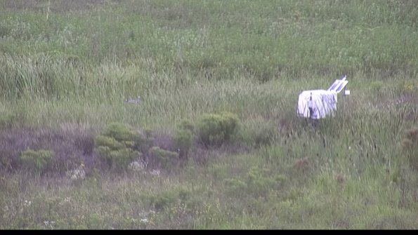 capture-5-23-08-14_10-52-46-77