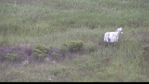 capture-5-23-08-14_11-10-47-27