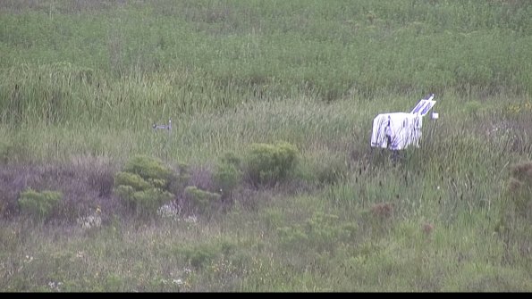 capture-5-23-08-14_11-20-46-37