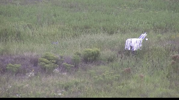 capture-5-23-08-14_11-22-47-13