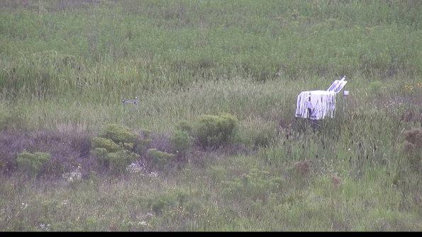 capture-5-23-08-14_11-26-47-10