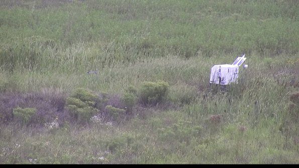 capture-5-23-08-14_11-30-47-35