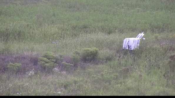 capture-5-23-08-14_11-32-46-93