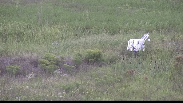 capture-5-23-08-14_12-54-46-63