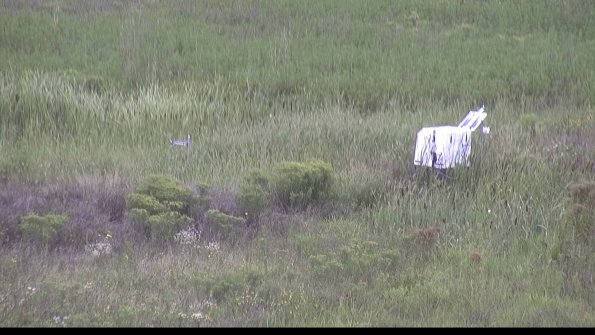 capture-5-23-08-14_12-56-47-25