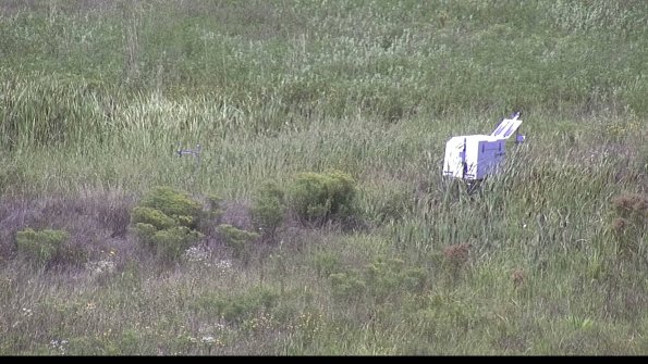 capture-5-23-08-14_13-16-46-75