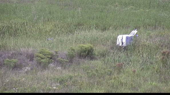 capture-5-23-08-14_13-24-46-43