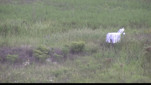 capture-5-23-08-14_14-47-00-72