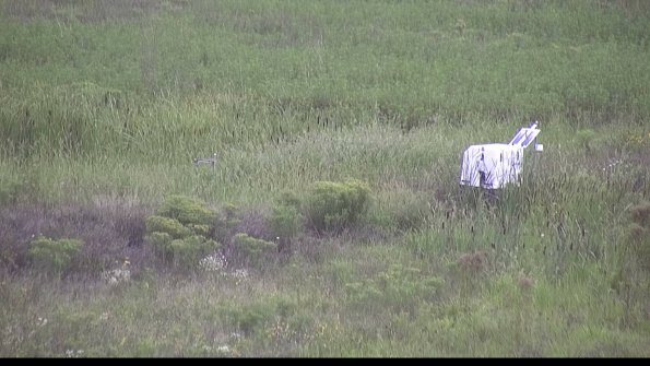 capture-5-23-08-14_15-25-01-33