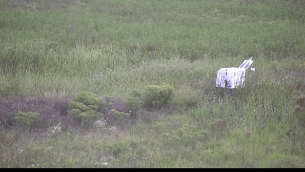 capture-5-23-08-14_15-27-00-98