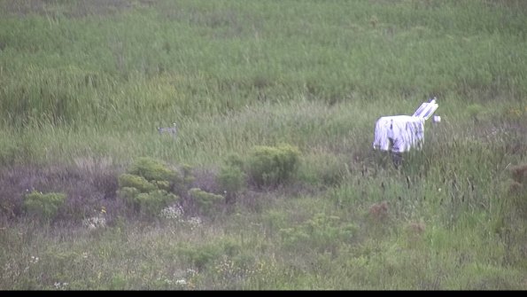 capture-5-23-08-14_15-51-00-68