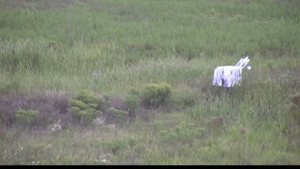 capture-5-23-08-14_15-53-00-73