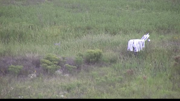 capture-5-23-08-14_16-03-00-67