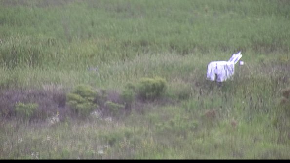 capture-5-23-08-14_16-17-00-78