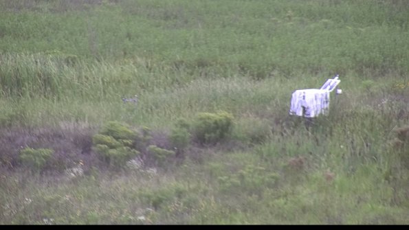 capture-5-23-08-14_16-19-00-57