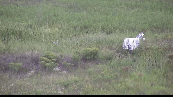 capture-5-23-08-14_16-23-00-78