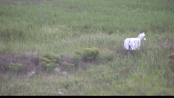 capture-5-23-08-14_16-41-00-40