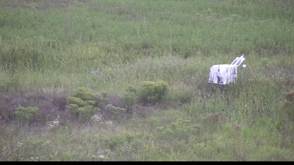 capture-5-23-08-14_16-43-01-09