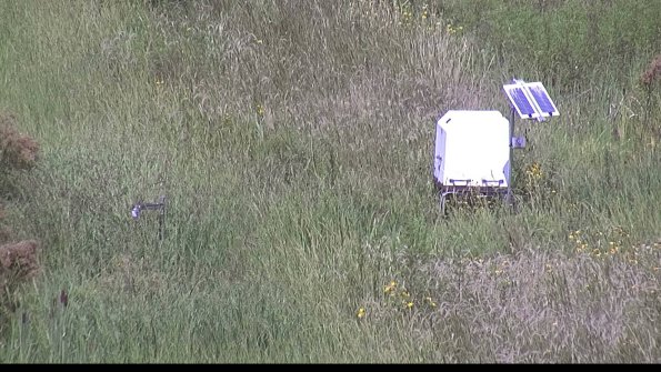 capture-6-23-08-14_13-21-01-34