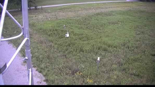 capture-1-23-08-15_07-15-43-49