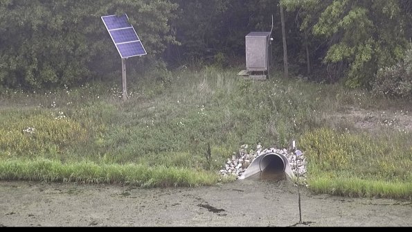 capture-3-23-08-15_12-03-59-67