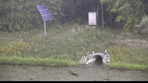 capture-3-23-08-15_12-20-00-17