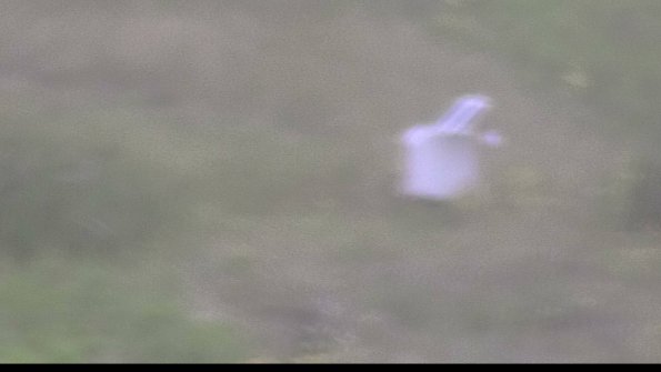 capture-4-23-08-15_09-22-30-42