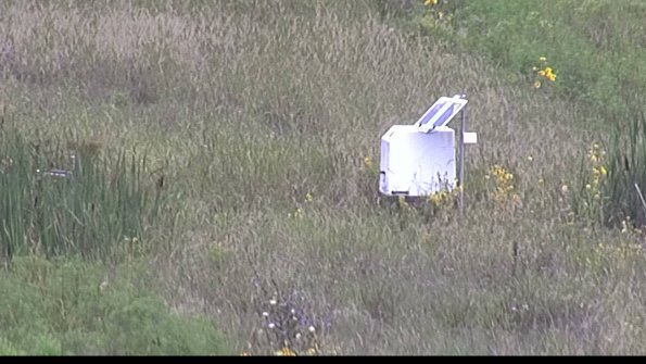 capture-4-23-08-15_11-18-16-33