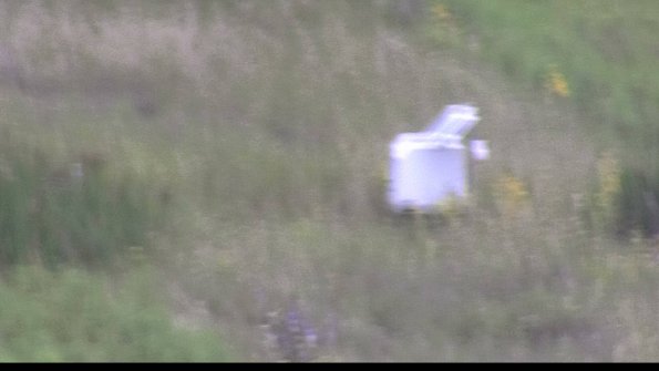 capture-4-23-08-15_12-16-15-64