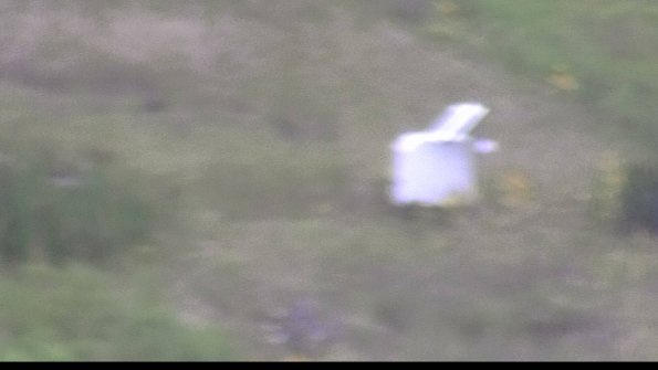 capture-4-23-08-15_12-20-15-42