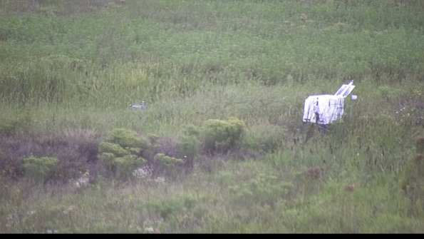 capture-5-23-08-15_07-56-44-30